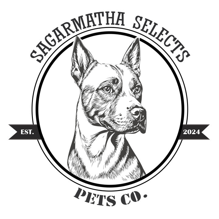 Sagarmatha Selects - IMG_7138